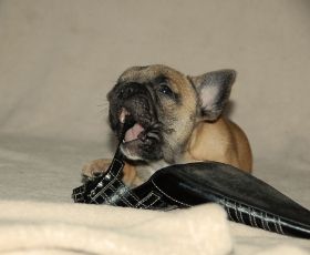 DSC_0236.JPG