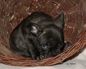 DSC_0266.JPG