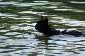 PICT0596.JPG
